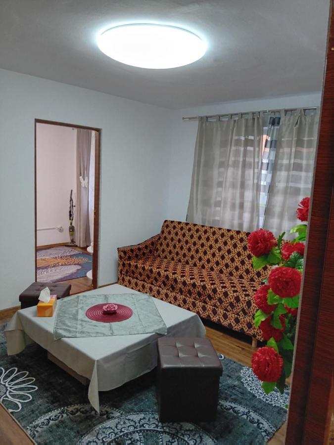 La Florin Apartamento Mediaş Exterior foto